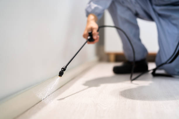 Bed Bug Pre-Treatment Preparation Assessment in South Weber