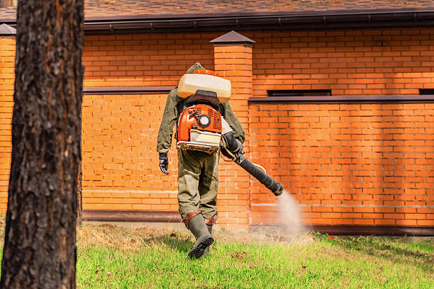 Bed Bug Clearance Verification and Documentation in South Weber